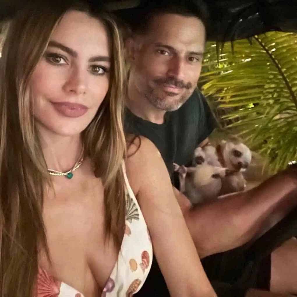 Sofia Vergara relationship