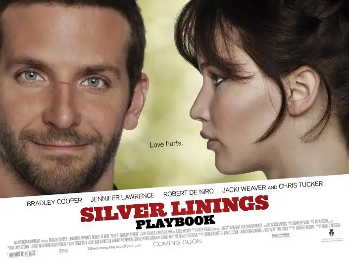 Silver Linings Playbook (2012)
