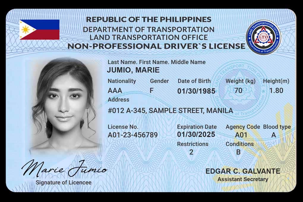 Fake Drivers License 