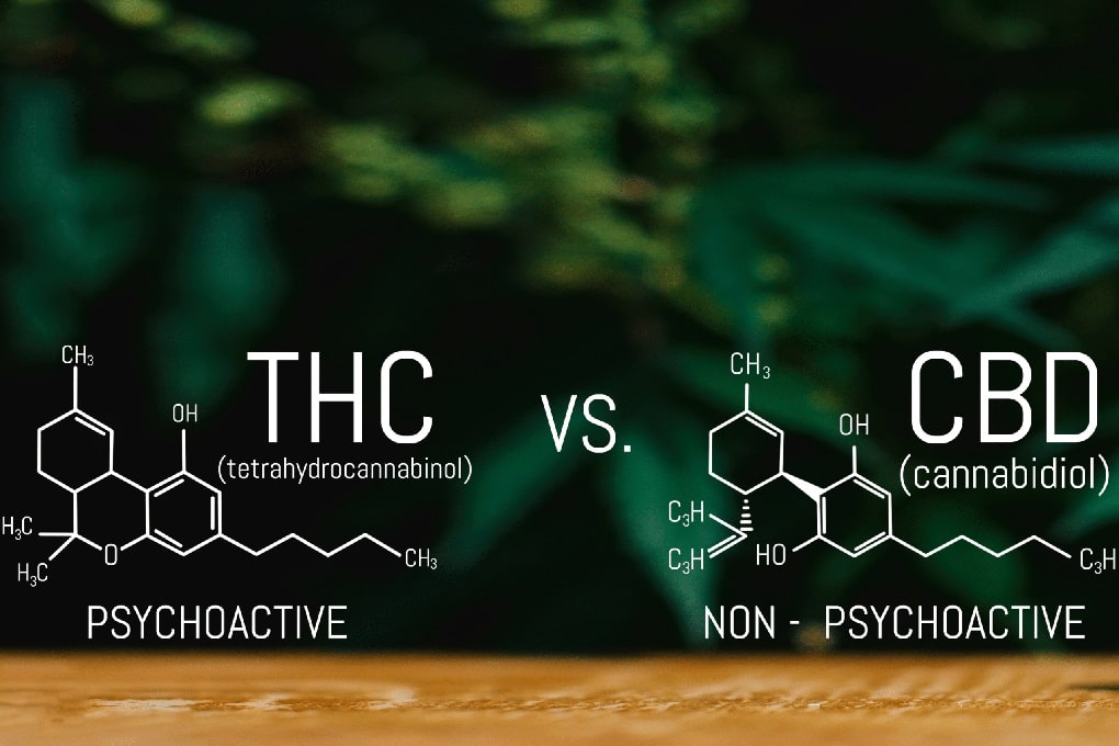 Delta-8 vs. CBD